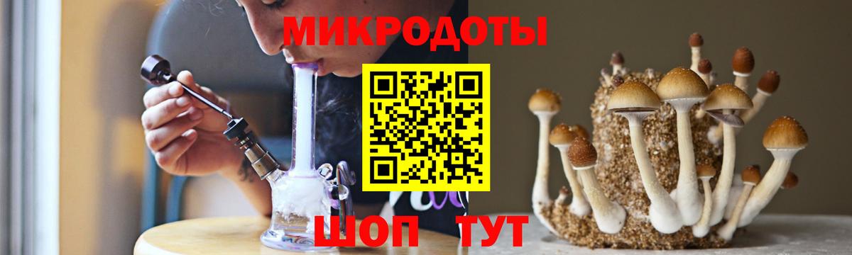 Галлюциногенные грибы прущие грибы Кыштым